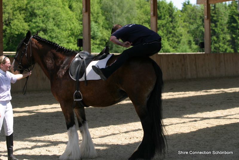 Aufsteigen mal anders