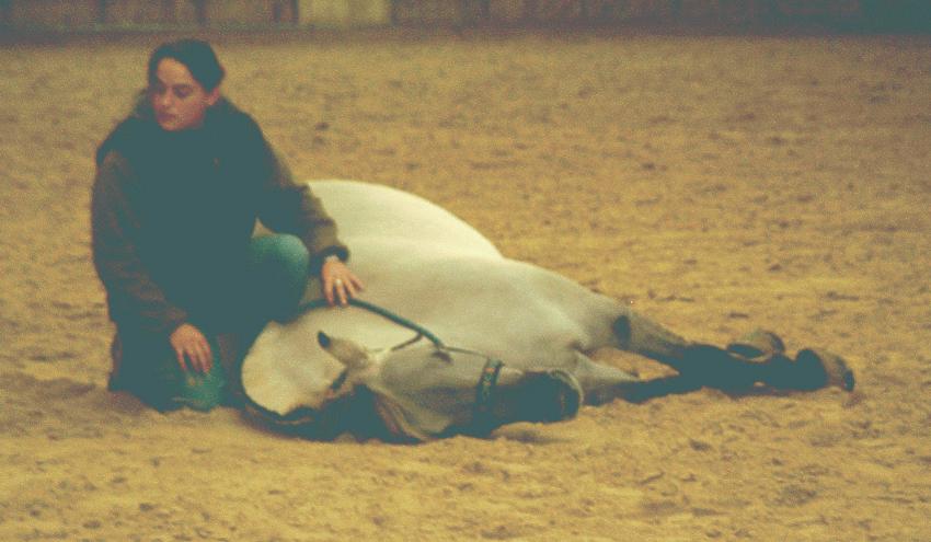 Zirkuslektionen: ablegen