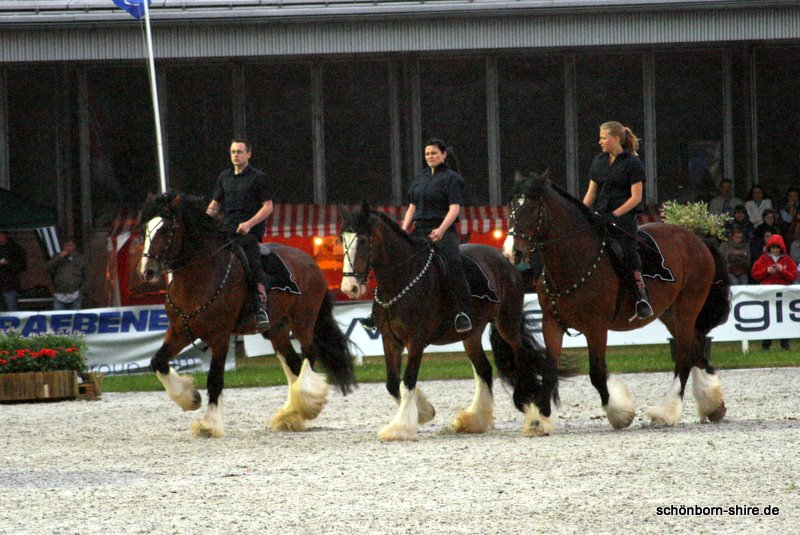 Giebelwald Classics, Shire Horses