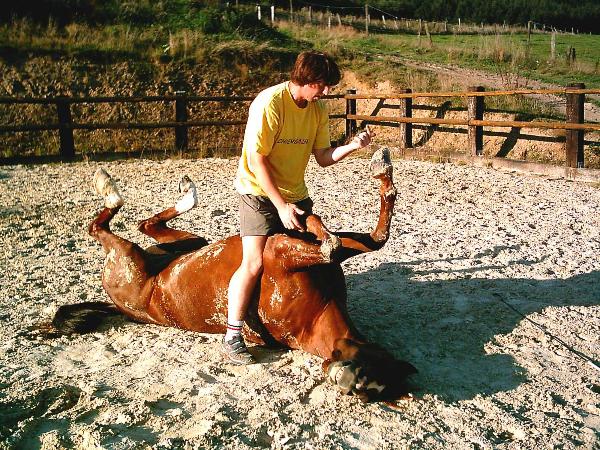 Rayana, Araber Stute auf dem R&uuml;cken