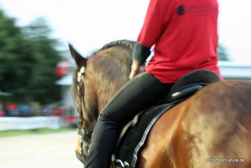 Giebelwald Classics, Shire Connection Sch�nborn