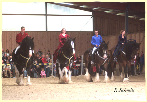 Shire Horses in "Extasy of final Countdown"