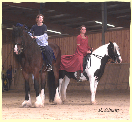 Shire Wallach Risto 1,90m, TinkerMix Bantry 1,42m