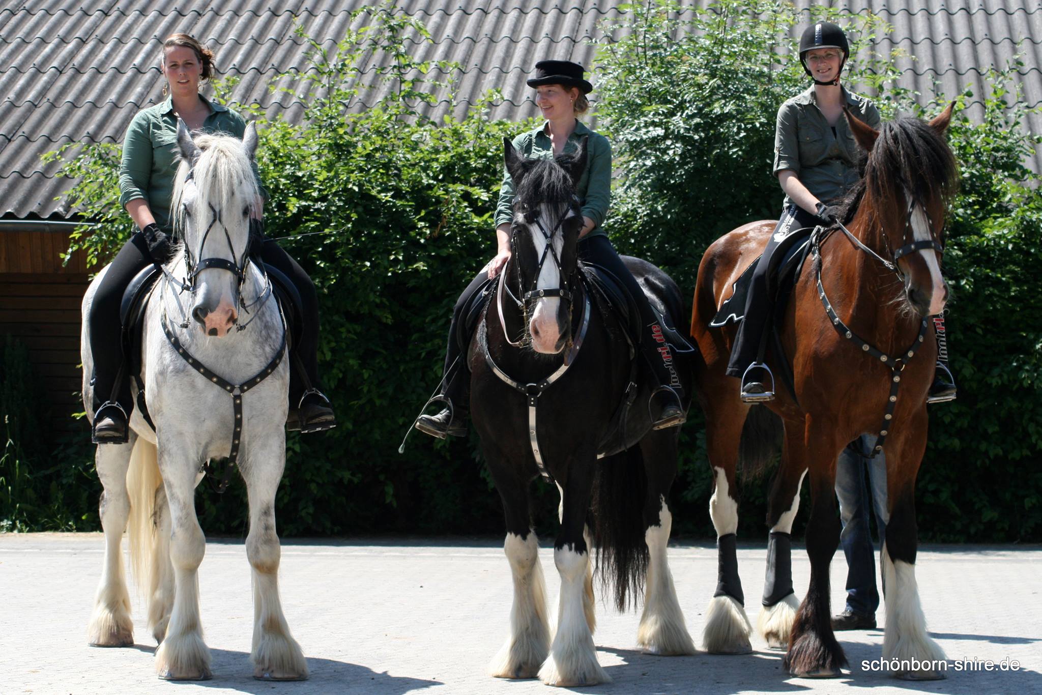 Shire Connection Sch�nborn, Team Open House