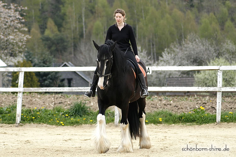Ich mit Glory, freih&auml;ndig mit Z&uuml;gel hinter dem R&uuml;cken