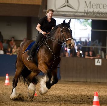 Quad VS Shire, BZS 2009