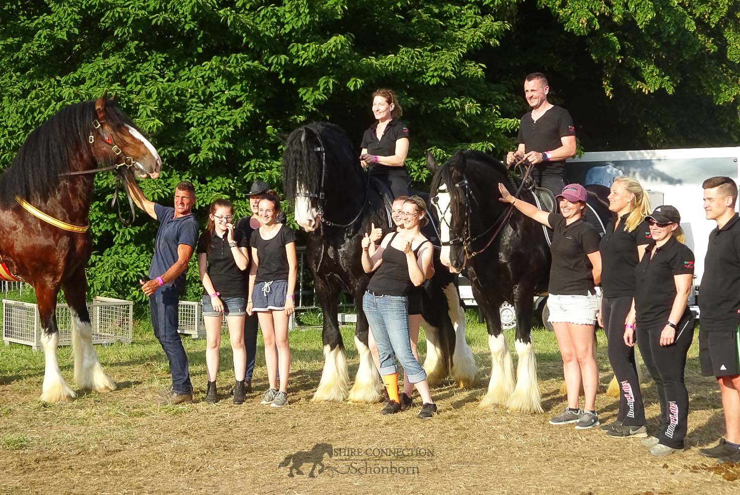 Equitana Open Air 2018 - Shire Horse Team