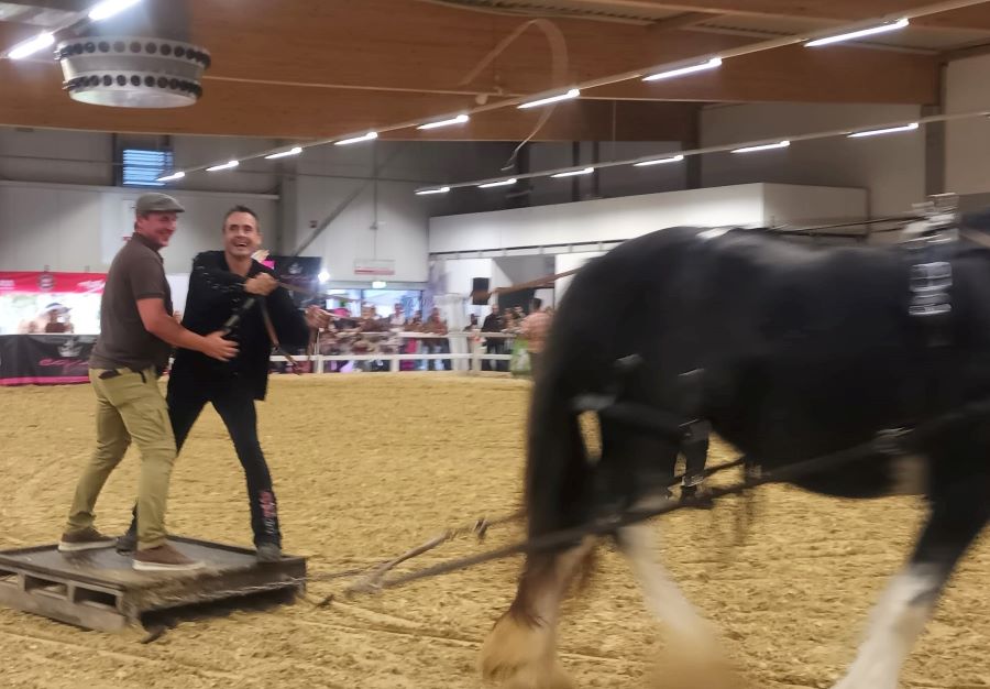 Übrigens auch für die Erwachsenen.