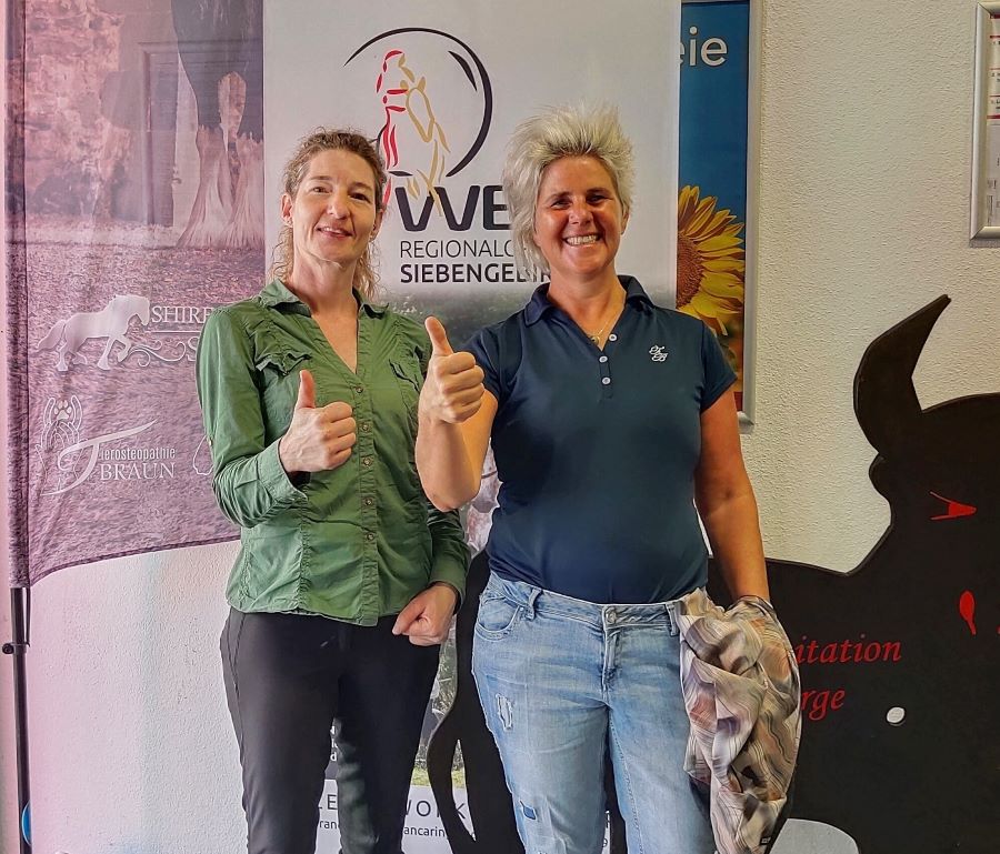 Uta Gräf Shire Horse Demostunde