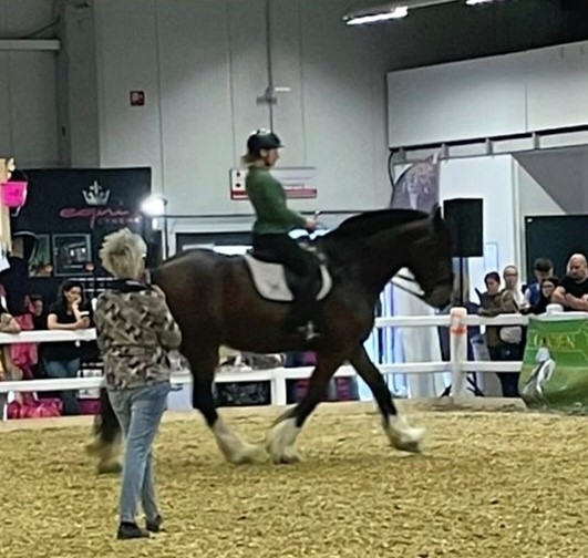 Uta Gräf Shire Horse Demostunde