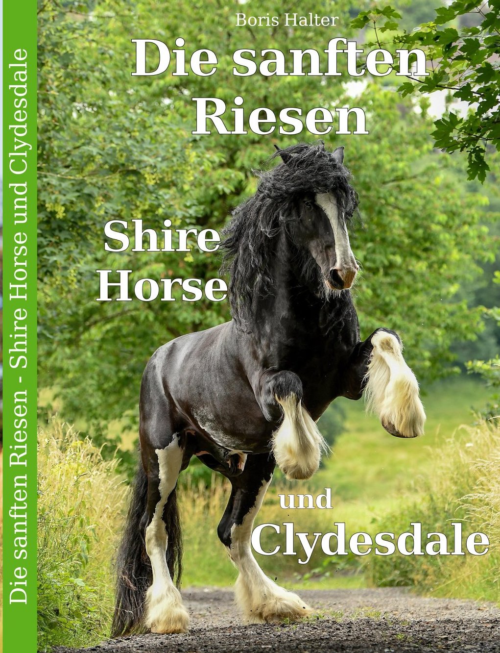 Oscar auf dem Titel des Buches "Shire Horses und Clydesdales" von Boris Halter