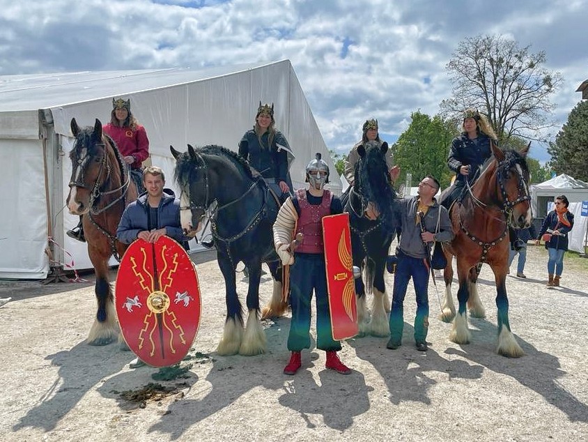Shire Horses Pferd International