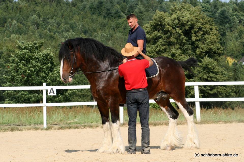 Torsten Timm mit Pioneer