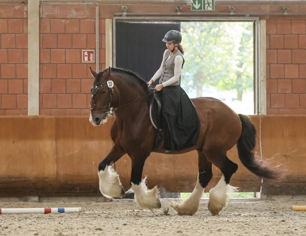 Reitklasse