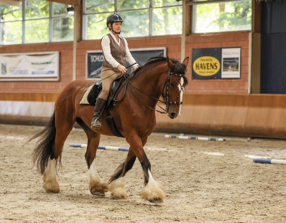 Reitklasse