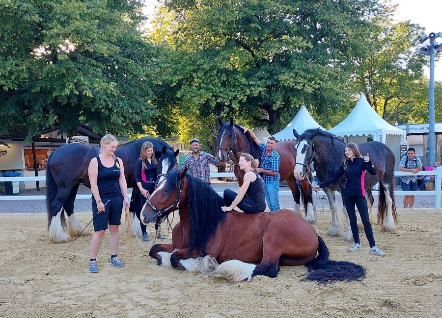 Reitsportmesse Düsseldorf