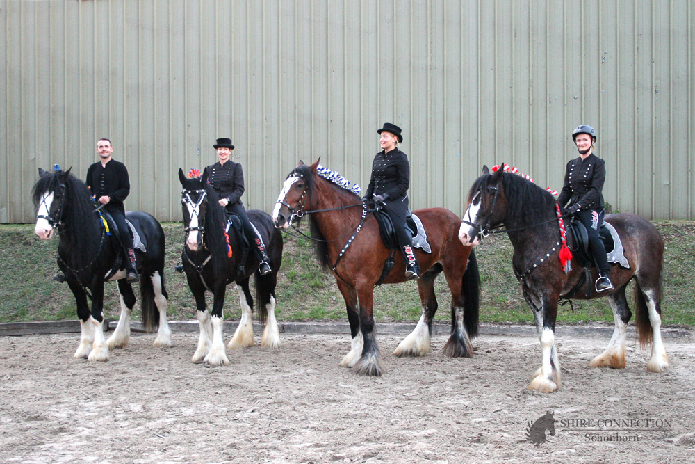 Giebelwald Classics 2017, die Shire Horse Truppe