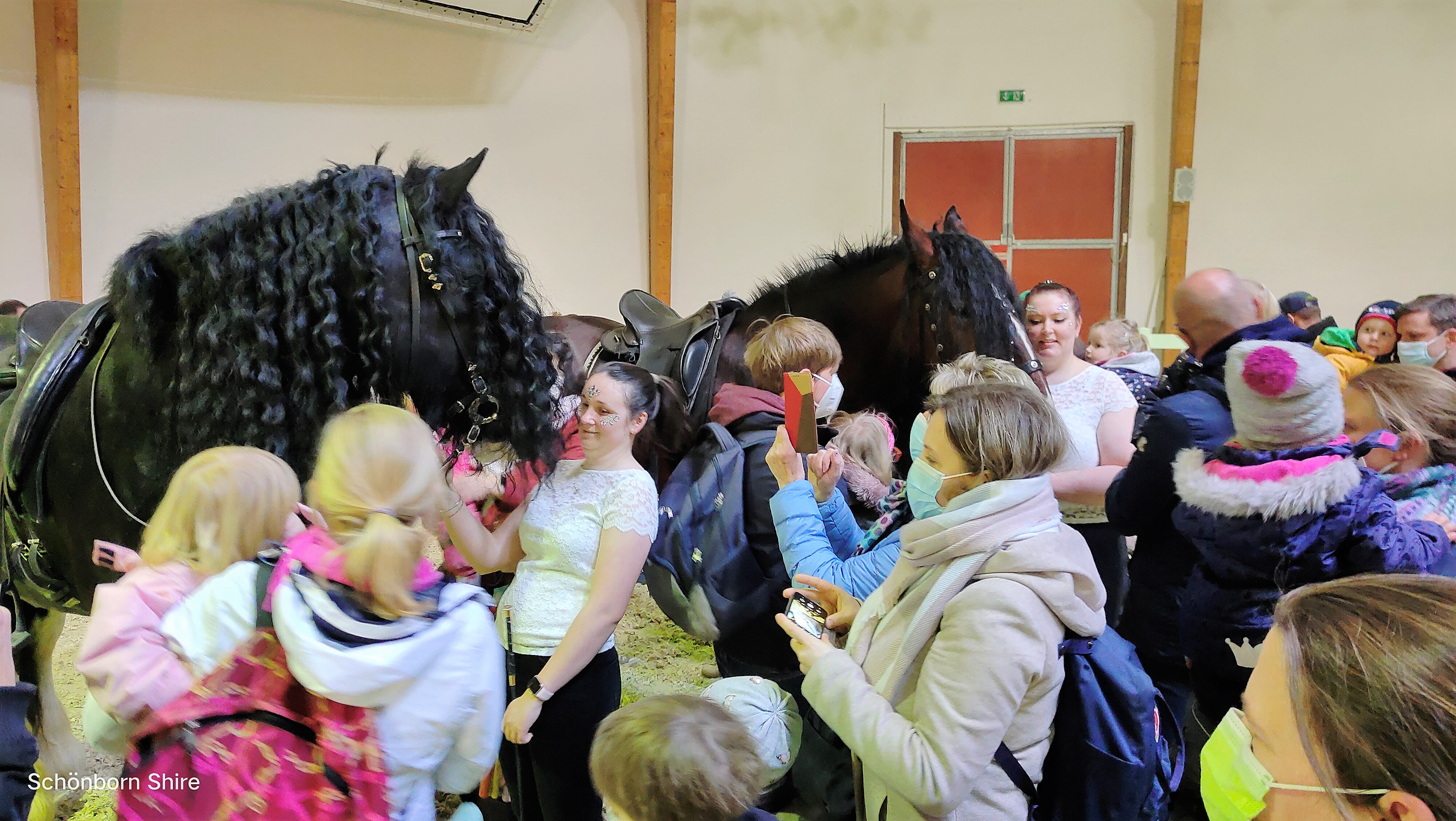 Shire Connection in der Arena