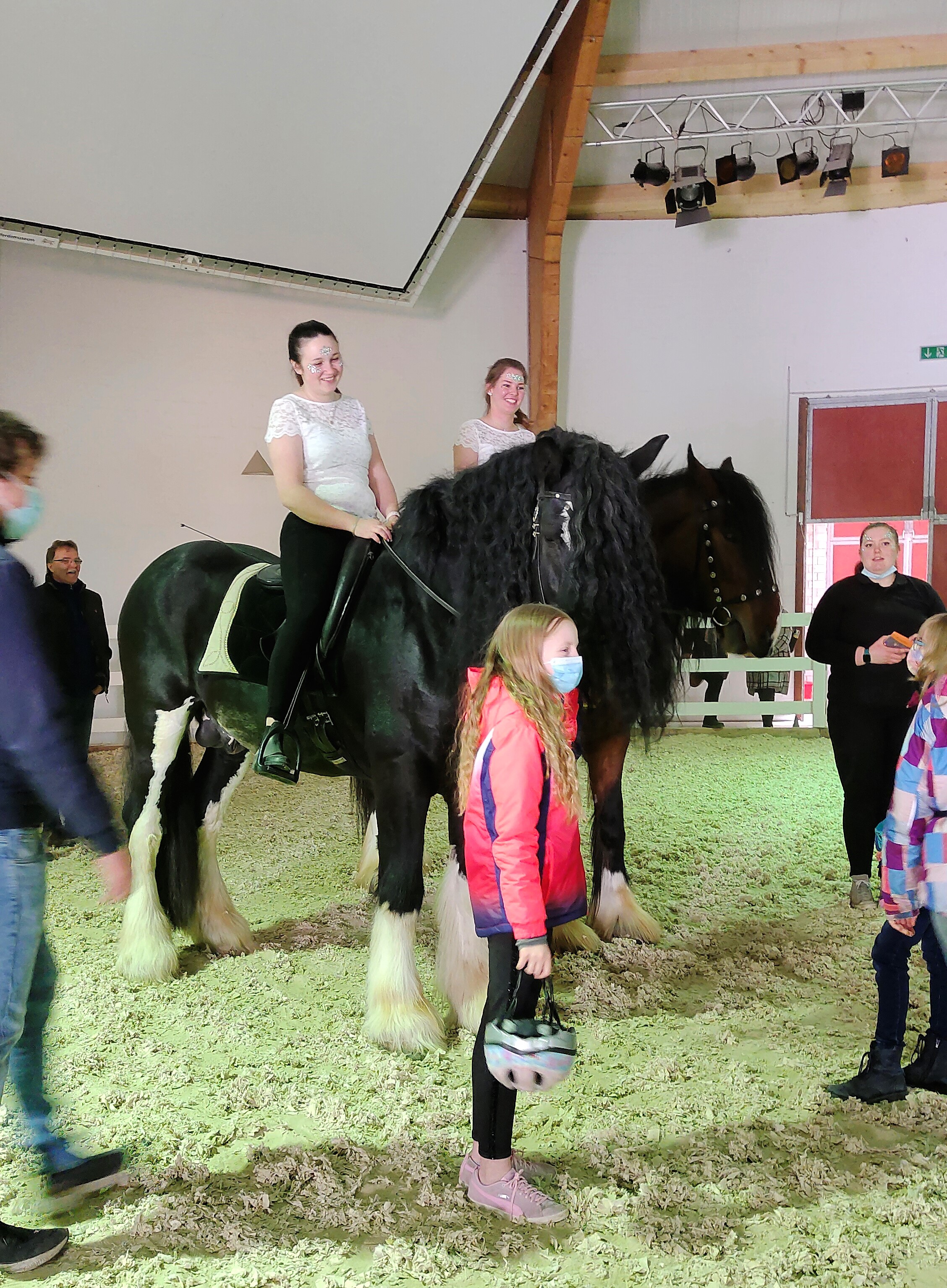 Unsere Shire Horse genießen es in der Arena mit den Kindern!