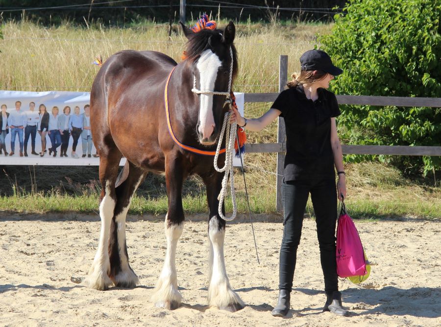 Emma und Audra "Bester Einflechter"
