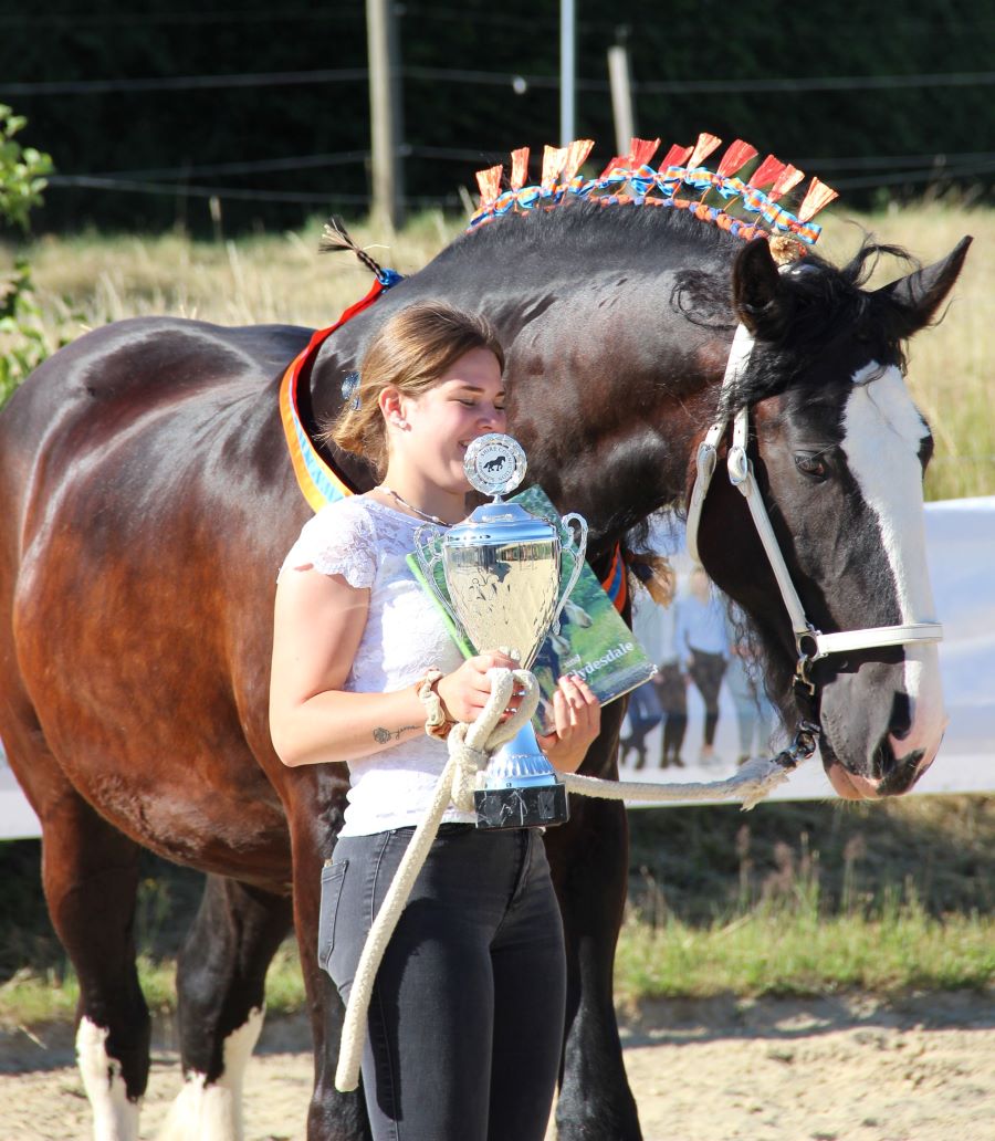 Shire Horse Stute Judy mit Emmi "Beste Präsentation"