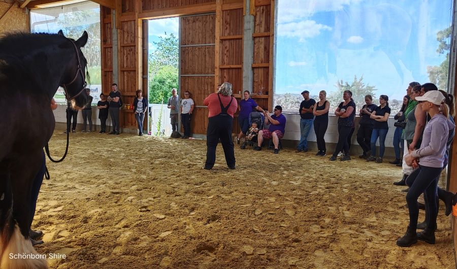 Pimp my Shire Rassevergleich