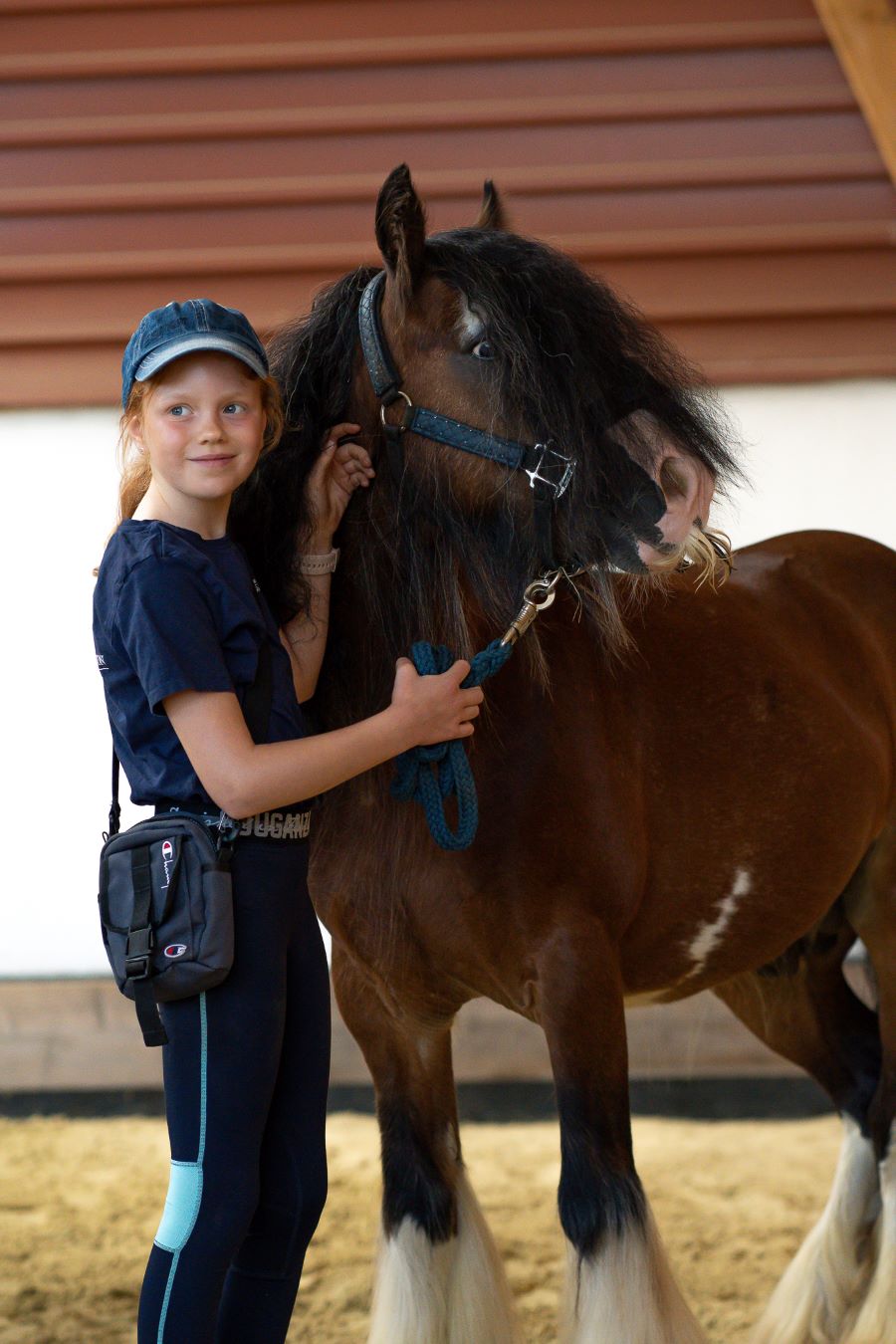 Mini Tinker im Rassen Vergleich
