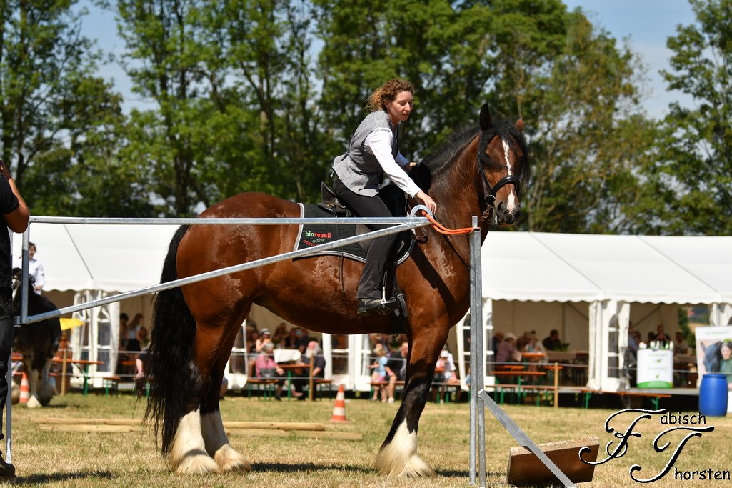 Working Equitation Demo, Linn am Tor