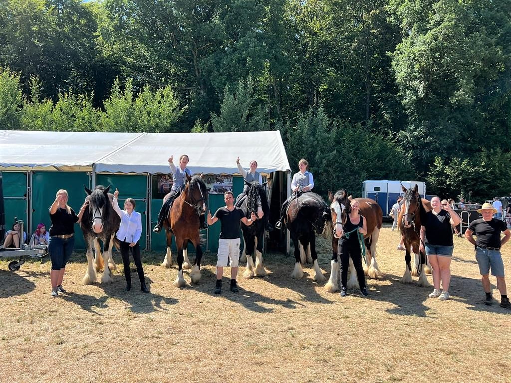 Team Shire Connection Oakstead Show