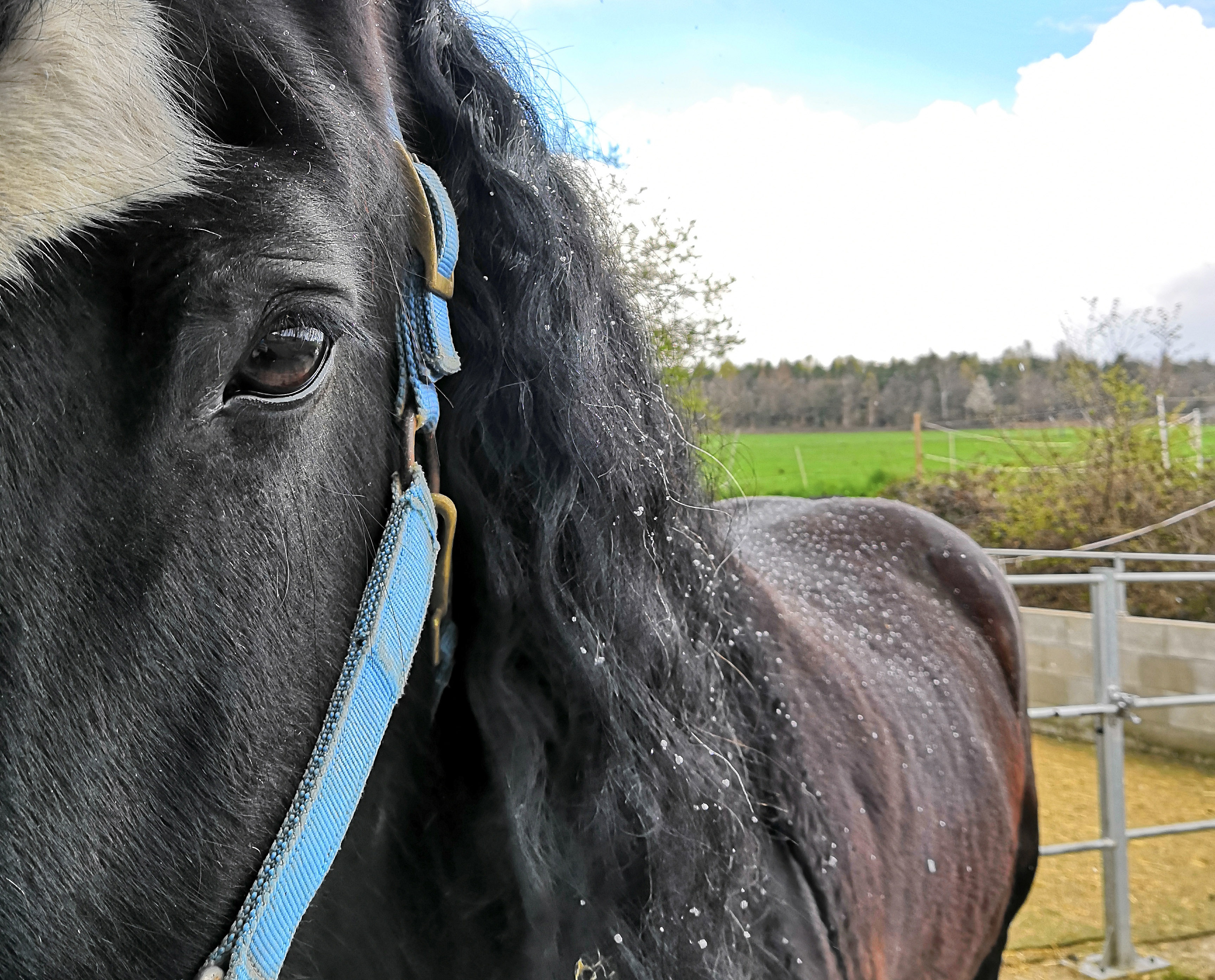Glory morgens beim Füsse waschen