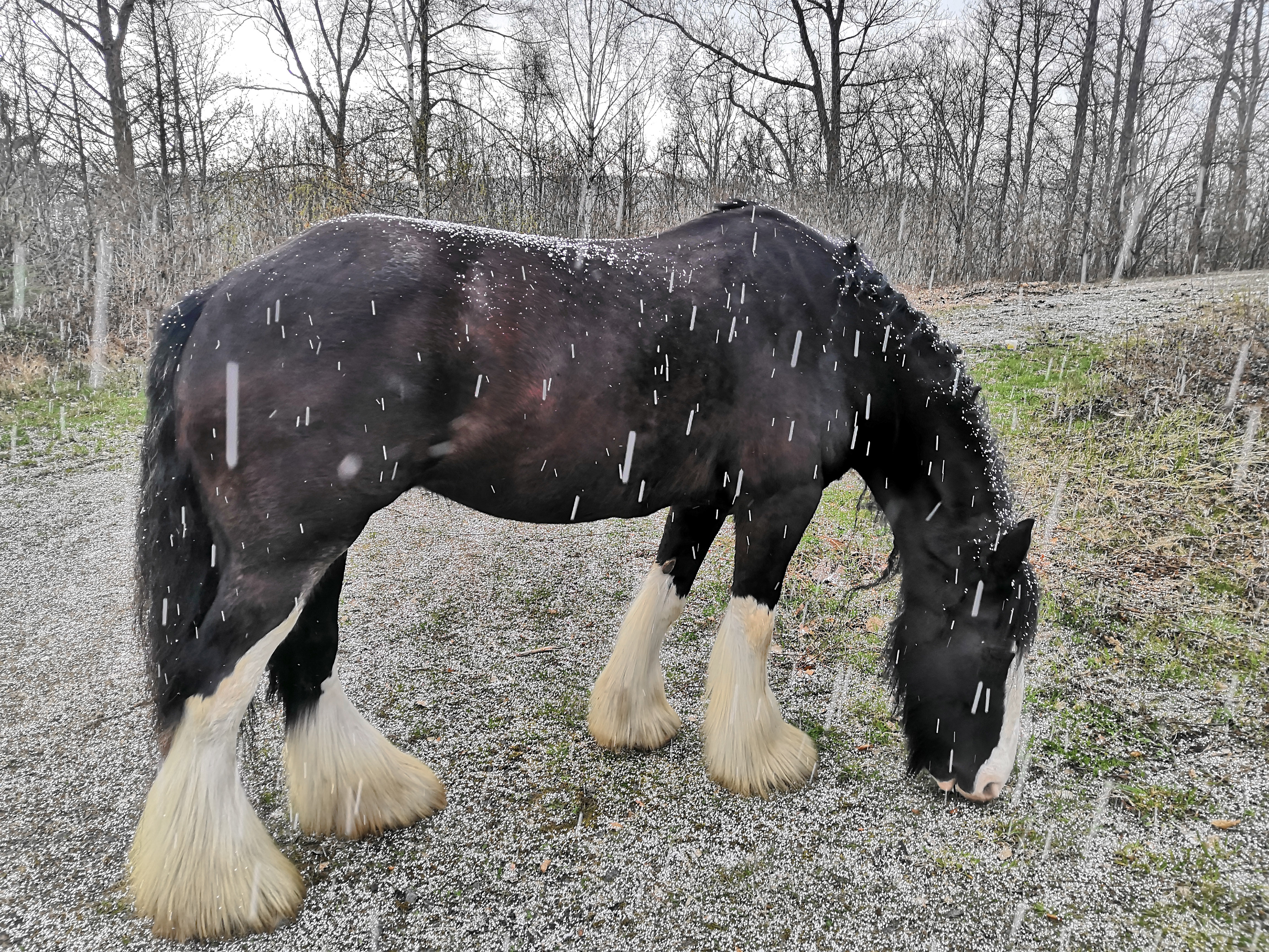 Glory nutzt die Zwangspause für einen Snack