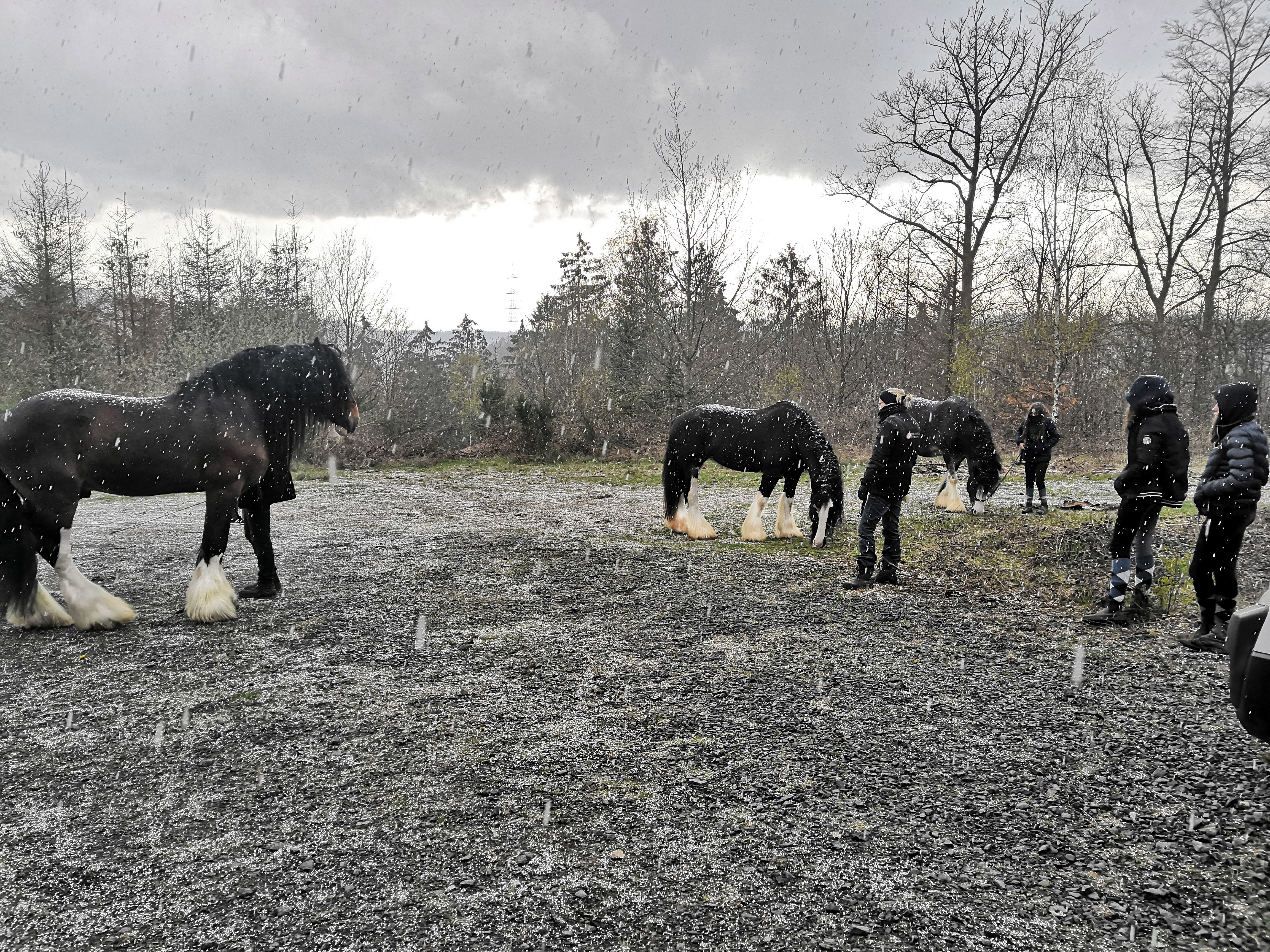 Zwangspause - da ging wirklich nichts mehr!
