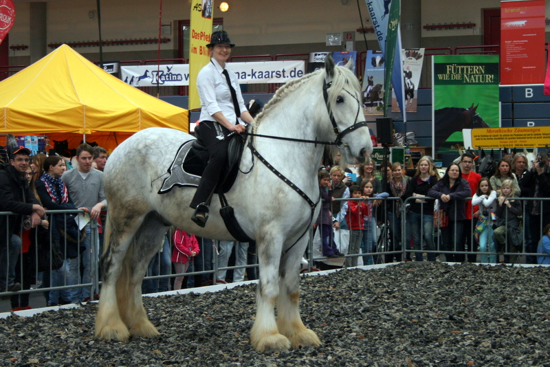 Messe "Pferd 2012" in KoblenzConlog Arena