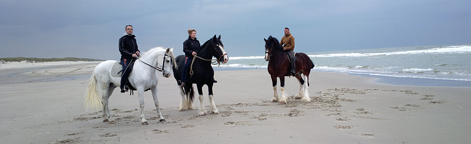 Urlaub auf Texel mit unseren Shire Horses und PRE