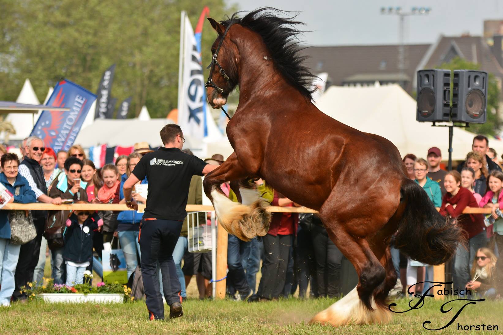 Warrior auf der Equitana Open Air