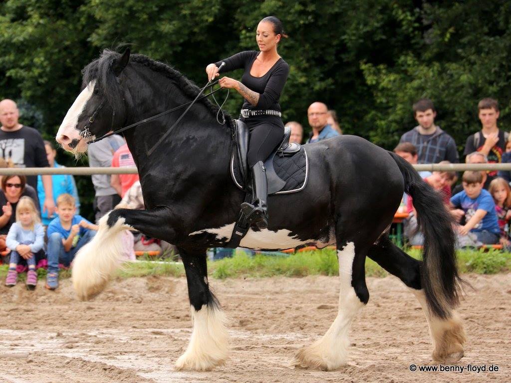 Christin mit Oscar auf der Kaltblutschau in Heppenheim