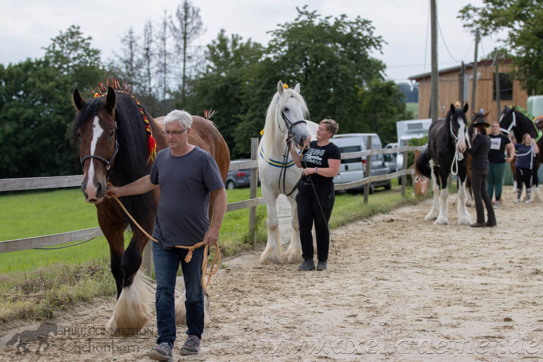 Shire Horse Schauseminar