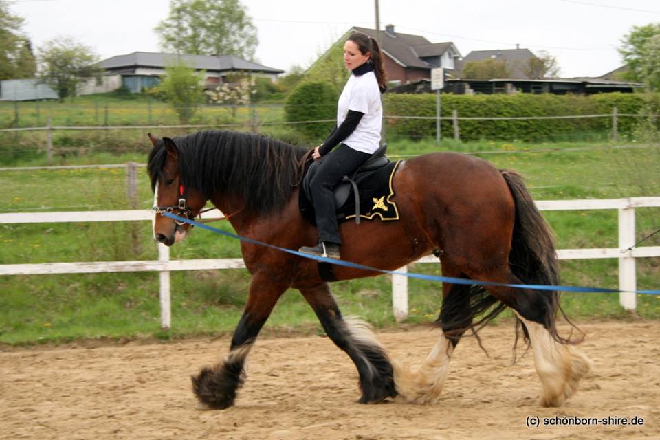 Tanja mit ihrem Shorty das erste mal in Tranb, haben beide super gemacht!