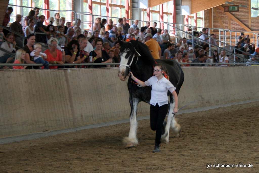 Retemeiers Royal Dawn mit Emma Diehl in der Young Handler Class