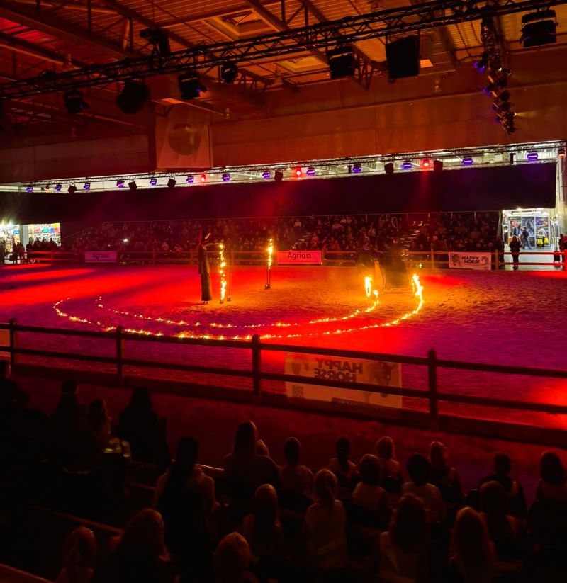 Hund & Pferd Westfalenhallen Shire Horse