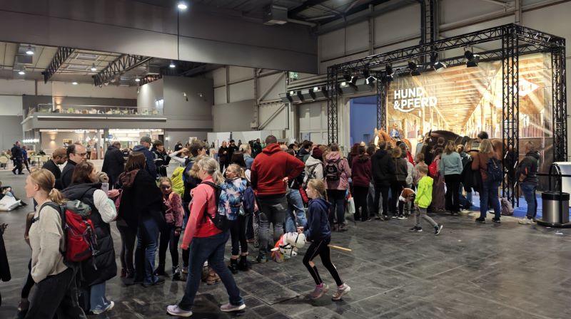 Shire Horse Meet & Greet