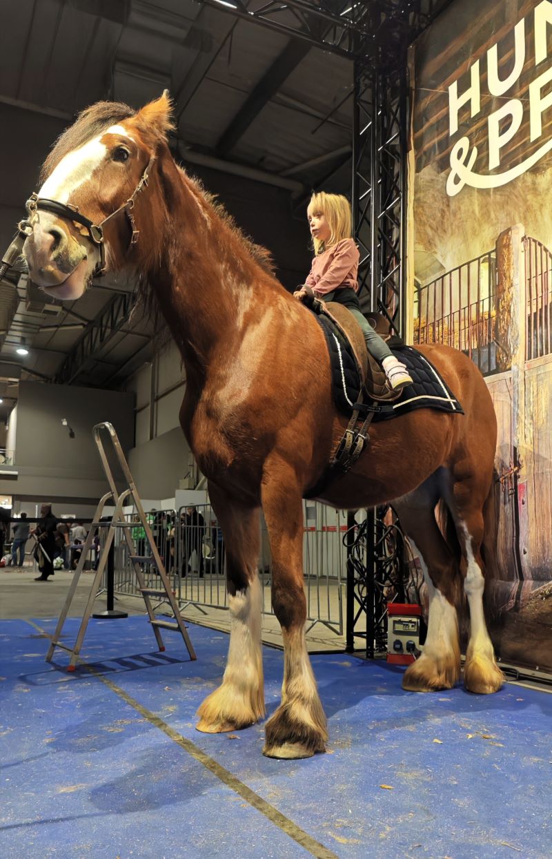 Miri, der Messeprofi