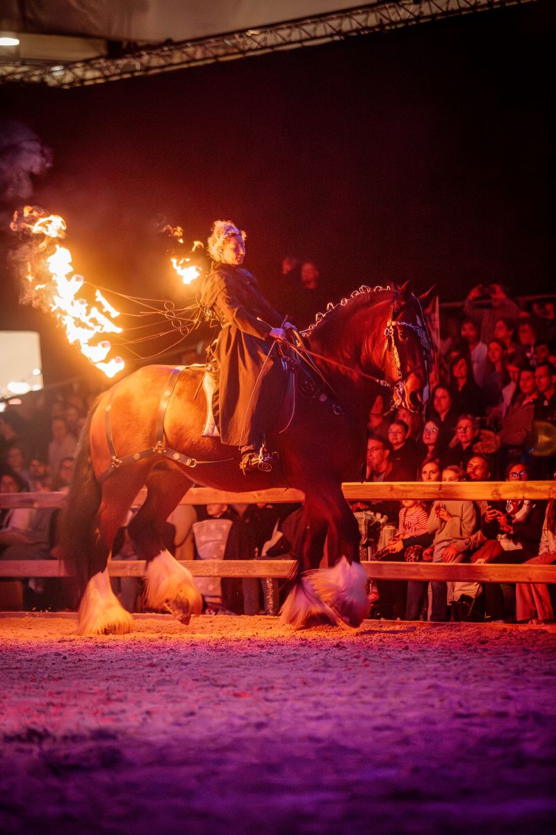 Shire Horse Feuerpferd Linn
