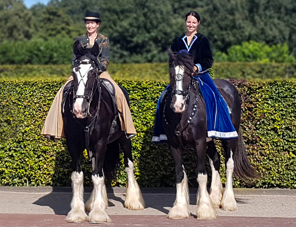 National Show Holland, September 2019