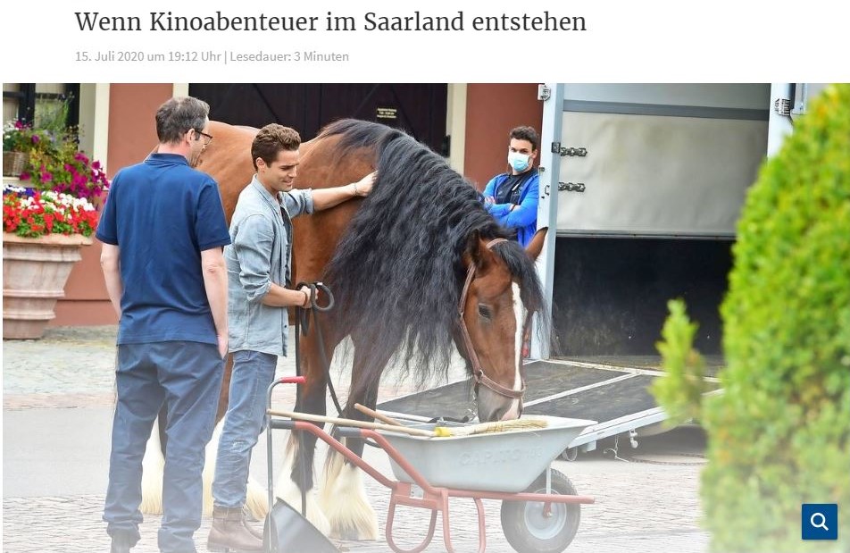 Immenhof 2 - Das große Versprechen - Shire Horse Warrior als "Mr. Big"