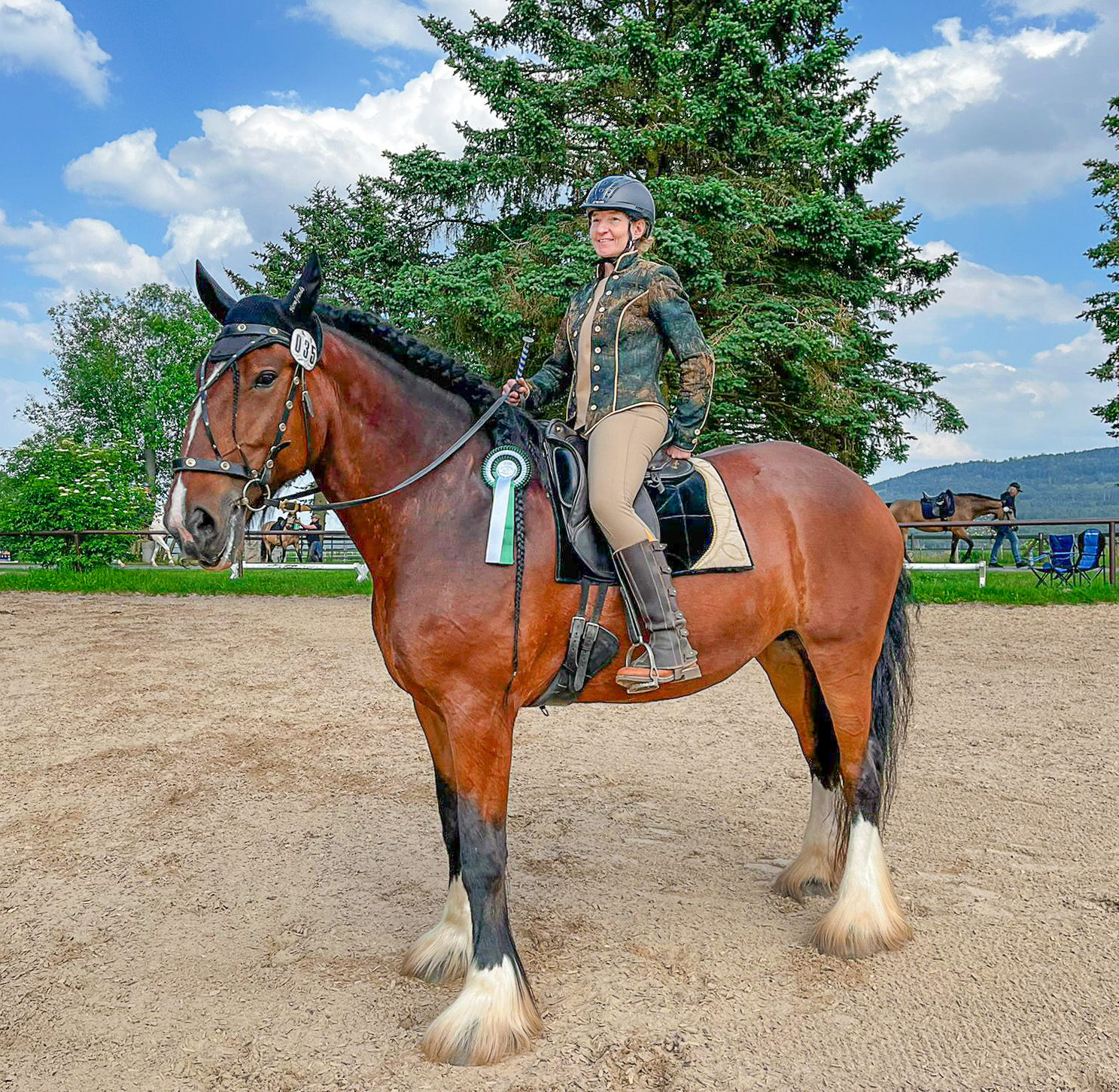 Shire Horse Stute Linn, Working Equitation Turnier Neu Anspach 2024