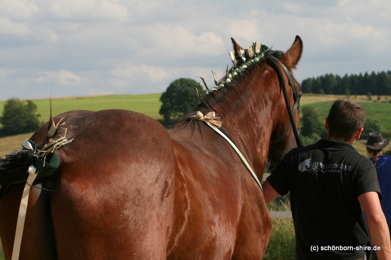 Patrick mit Warrior