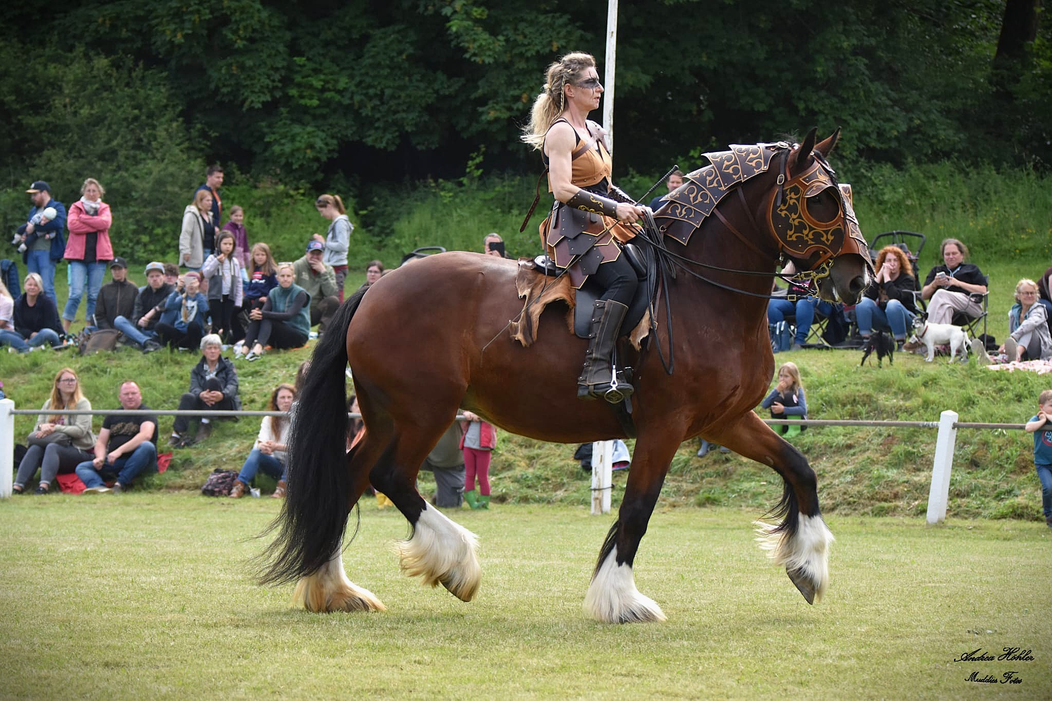 Warrior Horses Showbild 1