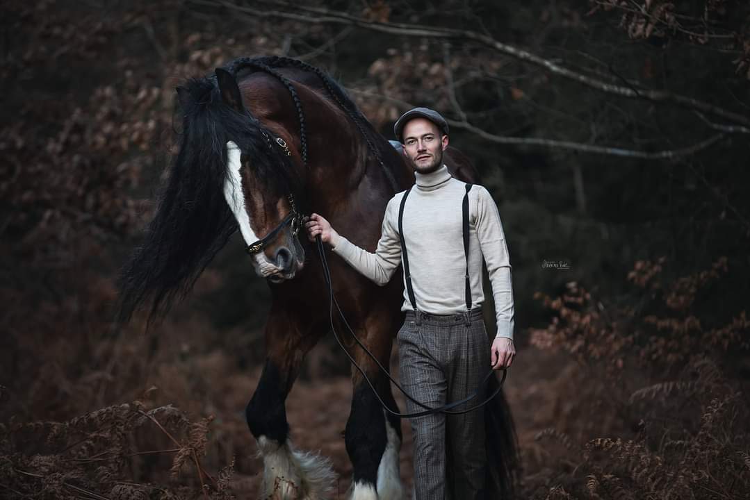 Shire Horse Shooting