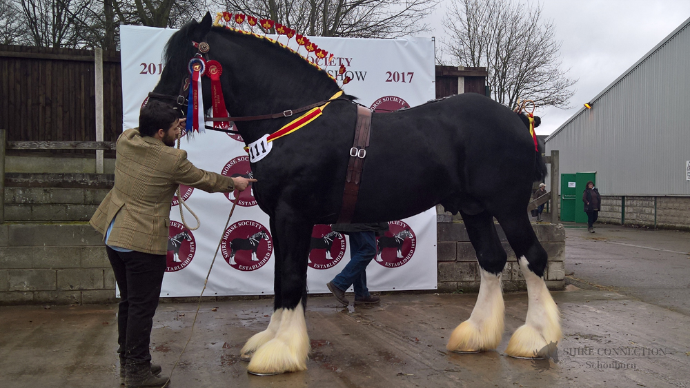 Trem Y Wyddfa Mascot